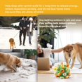 thumbnail image 5 of Sniff Ball Interactive Dog Toys for Dogs Encourage Natural Feeding Ability Slow Food Training Anti-Bite Puppy Play, 5 of 5