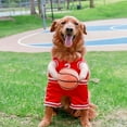 thumbnail image 2 of Disfraz de jugador de baloncesto Methold para perro Amarillo l, 2 of 6