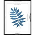 thumbnail image 5 of Art.com Indigo Botanica V Art Print by Naomi McCavitt, Black Frame Wall Art, 23" x 29", 5 of 5