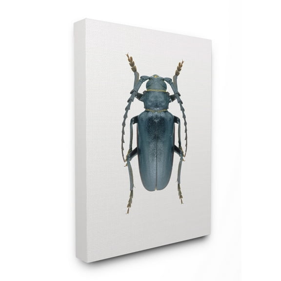 Stupell Home Décor Beetle Blue Yellow Animal Photograph Canvas Wall Art by Design Fabrikken