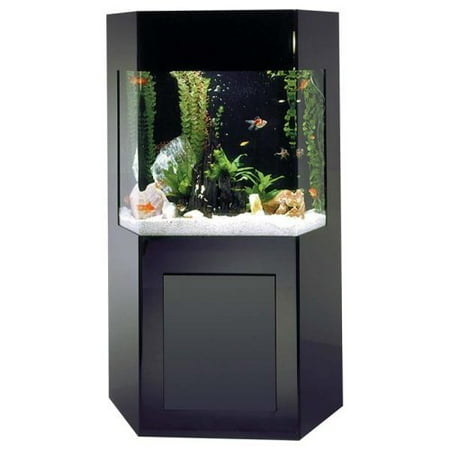 Shadow Box 50 Gallon Showpiece Aquarium with Stand