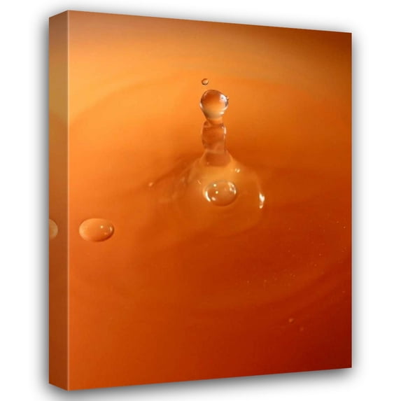 Tammy Putman 34x44 Gallery Wrapped Canvas Wall Art Titled - Tomato Soup Drop III