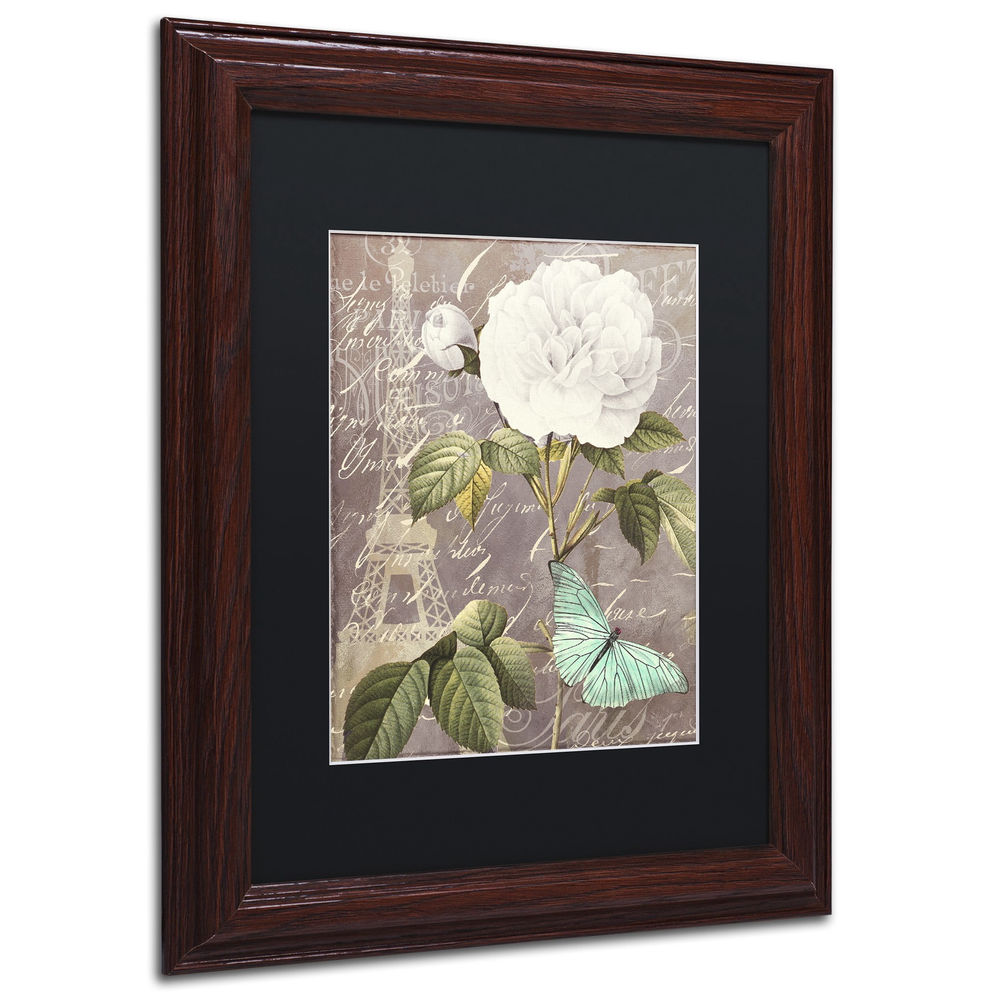 Trademark Fine Art "White Rose" Canvas Art by Color Bakery, Black Matte, Wood Frame