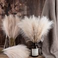 thumbnail image 2 of 1 pcs 19inch Grass Decor Natural Dried Pampas Grass,Fluffy Dried Flowers for Home Decor Wedding Boho Decor, 2 of 6