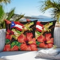 thumbnail image 5 of Puerto Rico Flag Outdoor Pillow Covers Set of 2 Red Althea Floral Green Frog Black Background Waterproof Throw Pillow Case Decorative Square Cushion Cover for Patio Couch Garden Balcony, 24"x24", 5 of 9