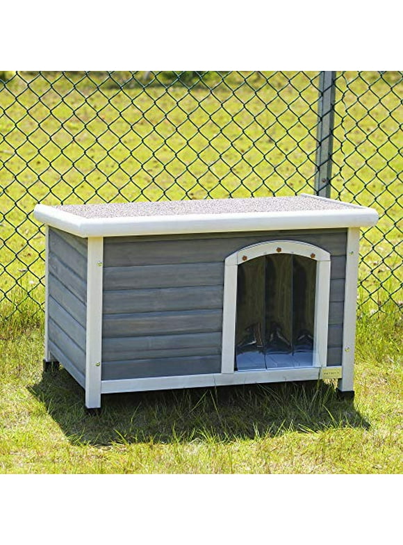 Small Dog Houses in Dog Houses