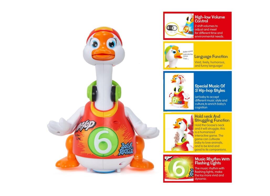 hip hop goose