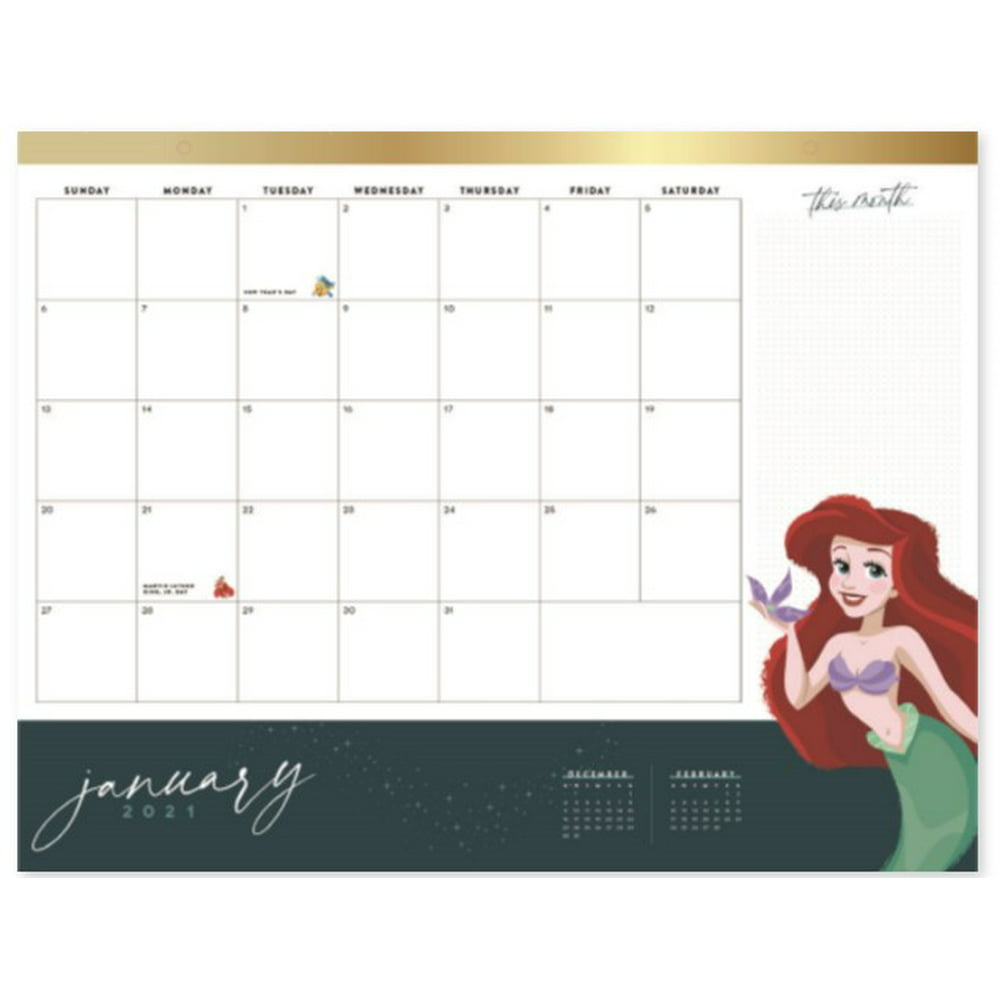 The Happy Planner® Disney 18 Month Desk Calendar