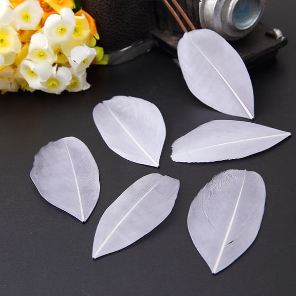XmhyTop-A 100 Pcs Craft Feathers Soft Decorative Plumes for DIY Arts, Crafts & Home Decor Bulk Feathers for Crafting,1.96-3.14inch,C02