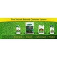 thumbnail image 2 of Revive Organic Soil Dog Spot Treatment Ready-to-Spray, Mineral Supplement Fertilizer, 64 oz, 2 of 5