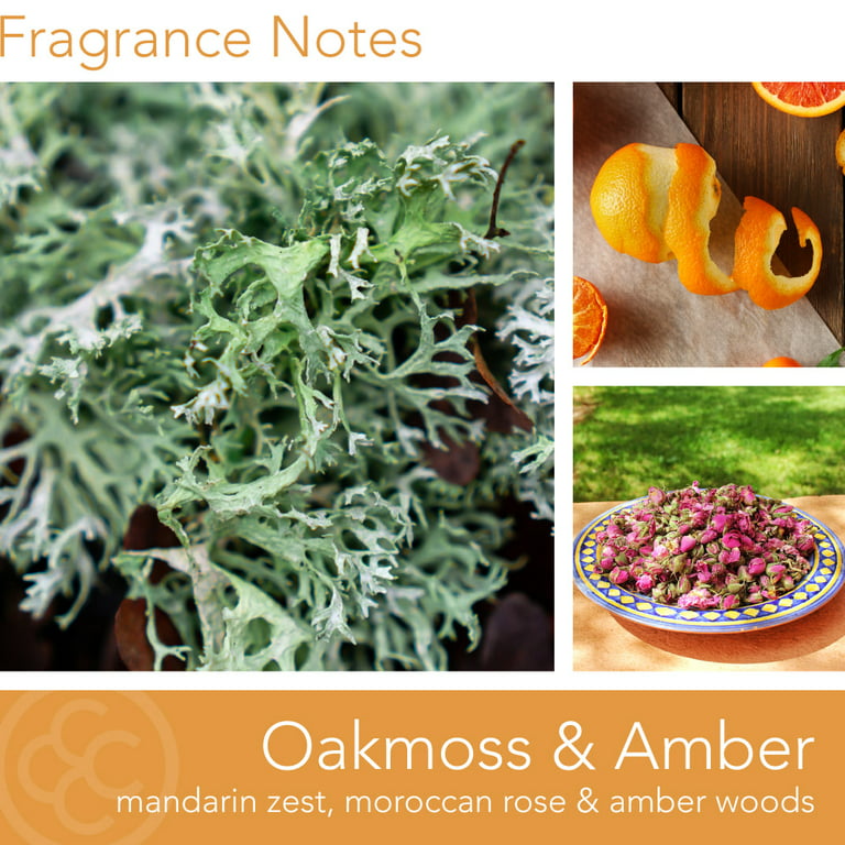 Amber Fragrance Oil — Stone Candles