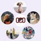 thumbnail image 5 of Etiqueta de mascota Airtag, 5 of 5