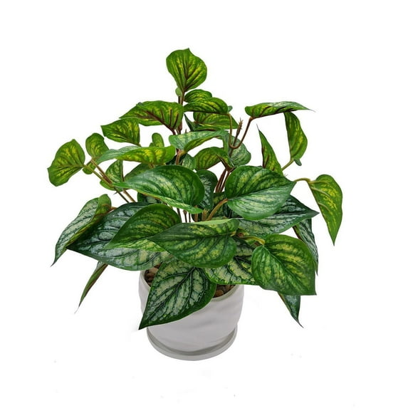 Mainstays 12.5"Height, Artificial Plant in Pot, Caladium, Green Color., GREEN PLANT WITH SLICK ROCKS