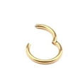 thumbnail image 7 of Jiaroswwei 1 Pc 16G 14G Hinged Segment Hoop Ring Stainless Steel Lip Nose Septum Piercing, 7 of 7