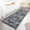 Dark Gray, variant on Ultra-Thin Washable Area Rug with Non-Slip Backing, Soft Medallion Pattern Vintage Style Carpet, Foldable Stain-Resistant Indoor Rug for Living Room, Bedroom, Home Office