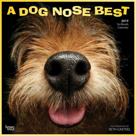 2019 Dog Nose Best Wall Calendar, by BrownTrout (Best Fishing Calendar 2019)