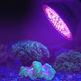 thumbnail image 2 of Luz De Crecimiento Lámpara De Cultivo LED E27 Hogar Interior Para Jardinería De Invernadero ANGGREK Otros, 2 of 8