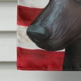 thumbnail image 4 of Carolines Treasures CK6614CHF Mexican Hairless Dog American Canvas House Size Outdoor-Flags, Multicolor, 4 of 4