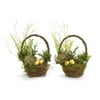 Set of 4 Nature Inspired Succulents and Fern Easter Baskets with Eggs 11"