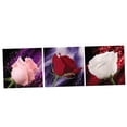 thumbnail image 1 of Ilustraciones Cuadros Gloria Giclée Impresiones en Rosas Románticas 3 Paneles, 1 of 6