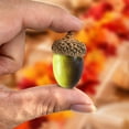 thumbnail image 4 of Acorn Decor,Simulation Artificial Lifelike Small Acorn with Natural Acorn Cap,Lightweight Faux Acorn Accents,Reusable Realistic Acorn Decoration,Lifelike Fake Acorn Prop for Table,Vase,Holiday, 4 of 4