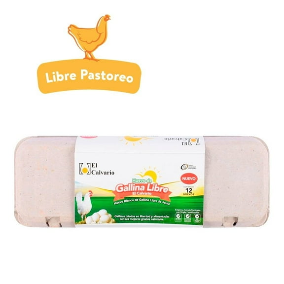 Huevo blanco El Calvario de gallina libre de jaula 12 pzas