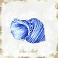 thumbnail image 2 of Watts, Eva 15x15 White Modern Wood Framed Museum Art Print Titled - Blue Seashell, 2 of 4