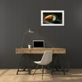 thumbnail image 3 of Ronin 18x12 White Modern Wood Framed Museum Art Print Titled - The Toucan, 3 of 4