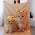 thumbnail image 1 of Throw Blanket, Flannel Throw Blanket Sofa Chair Cover Decorative For Bed Couch, 1 of 7