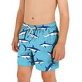 thumbnail image 2 of Favoffer Kids Swim Trunks Printed Casual Beach Shorts Drawstring Elastic Waist Breathable Quick Dry Bottoms With Side Pockets for Seaside Surfing Vacation Camping Outdoor Summer Play 3-14Y, 2 of 7