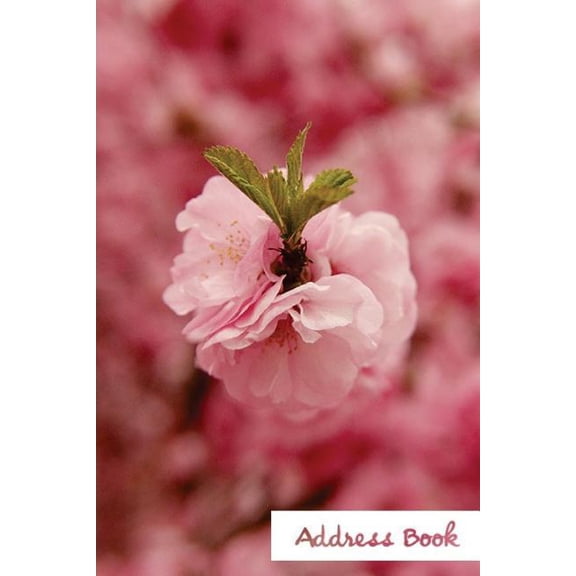 Address Book Flower Edition.: Address Book.: Glossy And Soft Cover, Large Print, Font, 6" x 9" For Contacts, Addresses, Phone Numbers, Emails, Birthday And More. (Paperback)(Large Print)