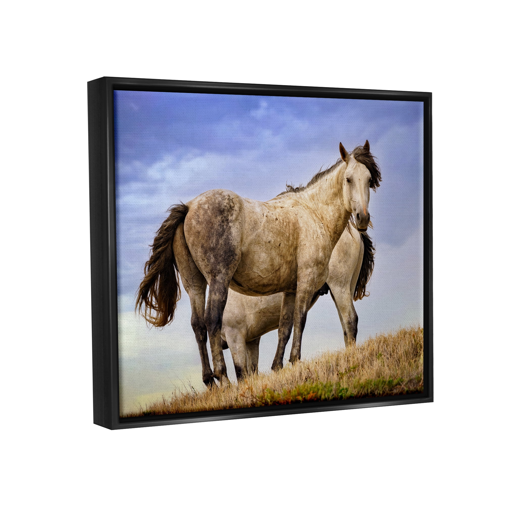 Stupell Rural Stallions Country Wildlife Animals & Insects Photography Black Floater Framed Art Print Wall Art