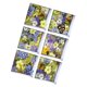 thumbnail image 1 of Etiqueta engomada impermeable Sunnimix para bañera 6pcs 3d antideslizante, 1 of 8