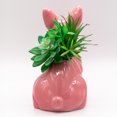 thumbnail image 5 of Pink French Bulldog Vase with Decorative Greens, 5 of 5