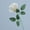 Beige, variant on Single Velvet Rose Artificial Flower, Rose Decor, FlowerforWedding, Outdoor & Home Decoration, Red Single Stem Artificial Rose, Wedding Outdoor Home Decoration Rose, Velvet Rose Single Stem Decor