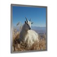 thumbnail image 2 of Designart "Solitary Grazing White Goat" Animals Framed Wall Art - Traditional White Goat Entryway Framed Wall Art, 2 of 6