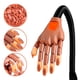 thumbnail image 1 of Mano Práctica Para Aplicación De Uñas Profesional Con 100 Tips Y Base Sujetadora De Mesa Belié Hand Trainer, 1 of 4