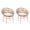 Beige,Light Brown, variant on Papasan Dining Chair Set of 2, Outdoor Wicker Chairs with Cushion, Modern Iron Frame with Teak Finish & Dark Gray Faux Rattan, Water-Resistant Gray Cushion