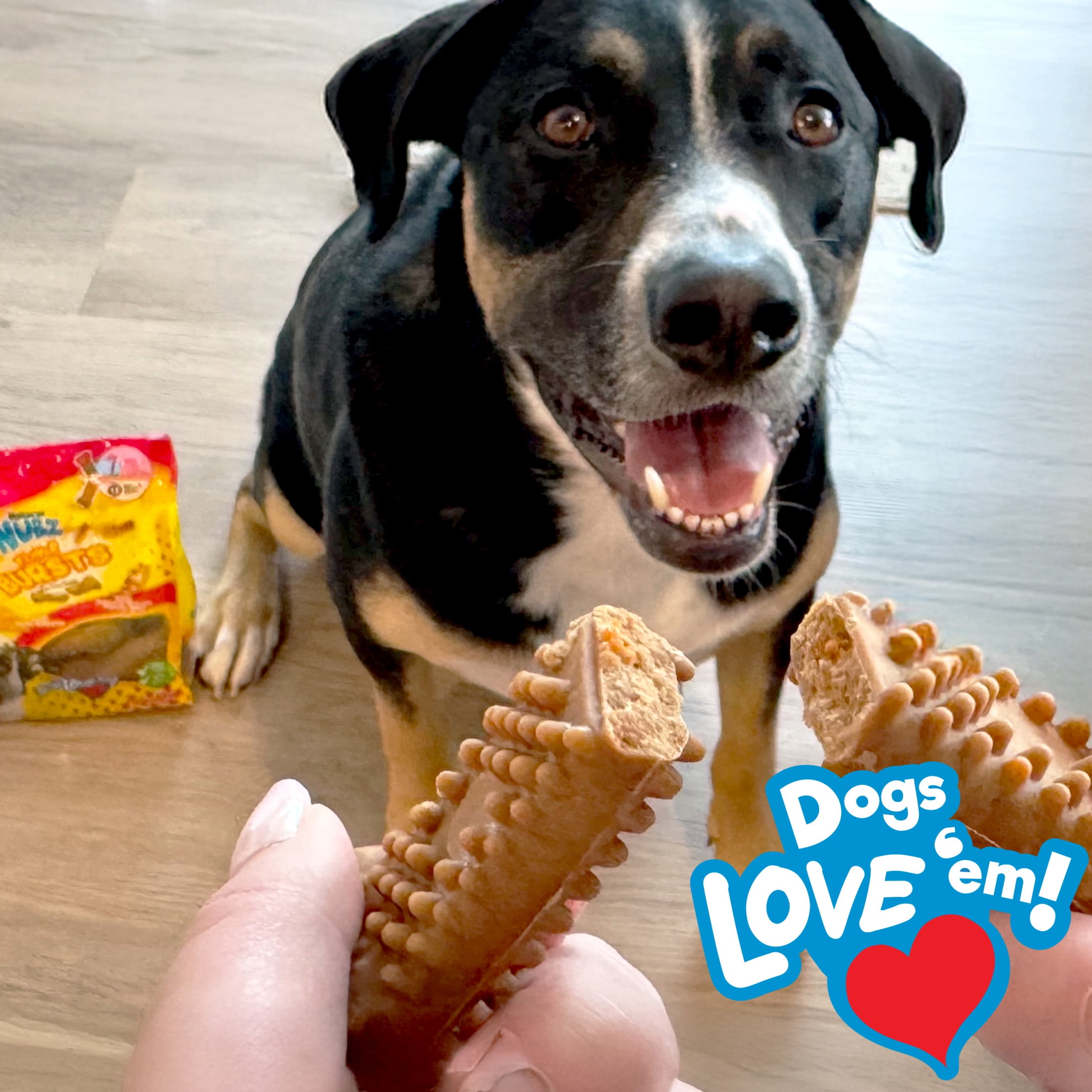 Nylabone Nubz Flavor Bursts Natural Dog Treats for Large Dogs, Bacon & Cheese Flavor Dog Bones, Large - 30+ lbs., 20 Count