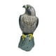 thumbnail image 4 of Estatua de señuelo de águila, espantapájaros, figura de control de águila, protector de jardín para exteriores Ojos negros, 4 of 9