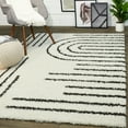thumbnail image 5 of Balta Janus Contemporary Berber Shag Area Rug Black 5'3" x 7' 5' x 8', 5 of 5