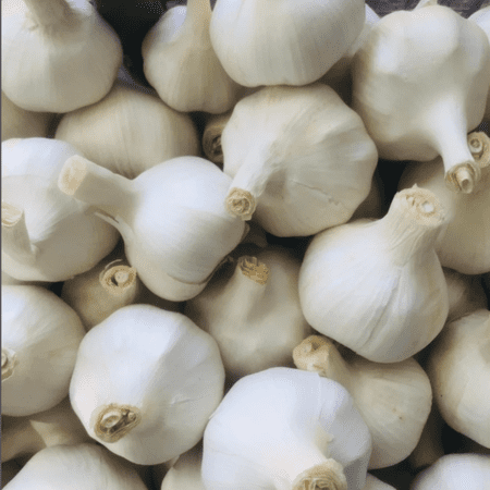 California White Softneck Garlic Bulbs for Planting, 1lbs Fresh Garlic Cloves Ideal for Indoor Pots and Outdoor Gardens