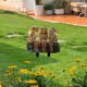 thumbnail image 3 of Decoración de escenas al aire libre, decoración del hogar, decoración de habitaciones, decoración de paredes, figuras decorativas de hadas y colibríes en acrílico para jardín bohemio, figuras decorati, 3 of 6