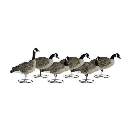 Dakota Decoy Signature Series Flocked Goose Decoys 6 Pack Sentry