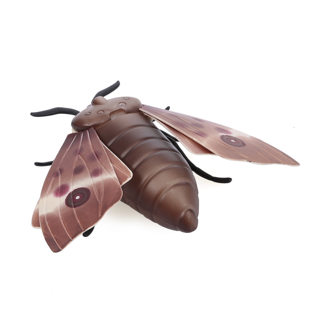 moth toy