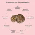 thumbnail image 3 of Cola de Pavo Adaptógeno Commons 120 cápsulas, 3 of 4