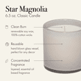 thumbnail image 3 of LAFCO New York Classic Candle, Star Magnolia - 6.5 oz, 3 of 6