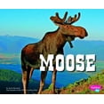 thumbnail image 1 of Pre-Owned North American Animals: Moose (Hardcover), 1 of 1