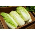 thumbnail image 4 of HJADGG Napa Chinese Peking Cabbage Vegetable for Planting Heirloom Non GMO, 4 of 8