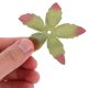 thumbnail image 5 of Houderco 100Ud Base Artificial Para Flores Calyx De Tela Verde Para Suministros De Y Manualidades, 5 of 6